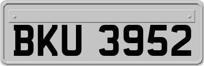 BKU3952