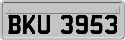 BKU3953