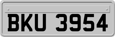BKU3954