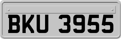 BKU3955