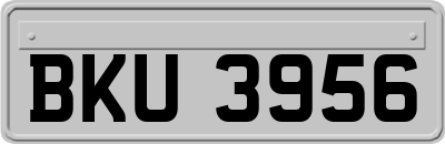 BKU3956