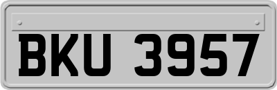 BKU3957