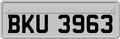 BKU3963