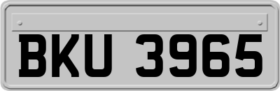 BKU3965