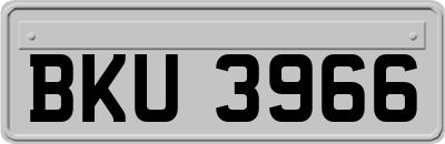 BKU3966