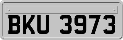 BKU3973