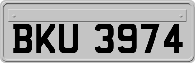 BKU3974