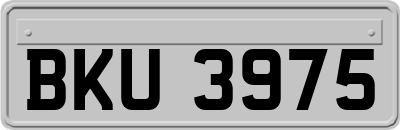 BKU3975