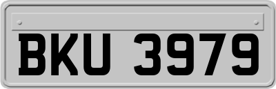 BKU3979