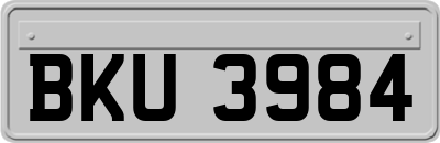 BKU3984