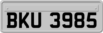BKU3985