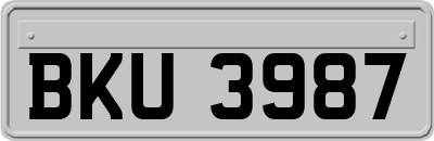 BKU3987