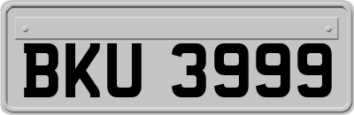 BKU3999