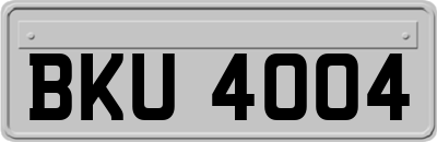 BKU4004