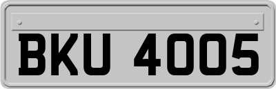 BKU4005