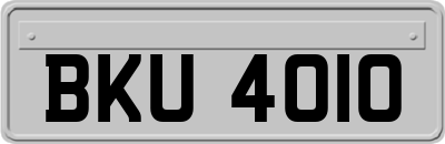 BKU4010