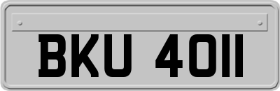 BKU4011