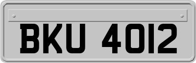 BKU4012