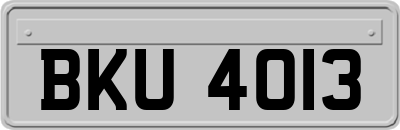 BKU4013