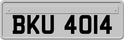BKU4014