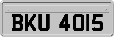 BKU4015