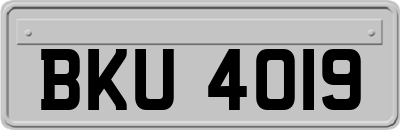 BKU4019
