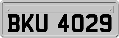 BKU4029