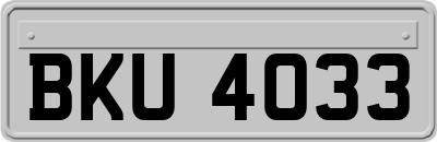 BKU4033