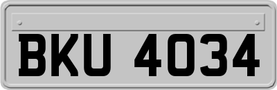 BKU4034