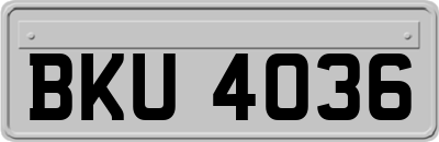 BKU4036