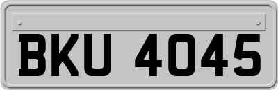 BKU4045