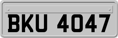 BKU4047
