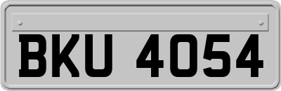BKU4054