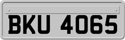 BKU4065