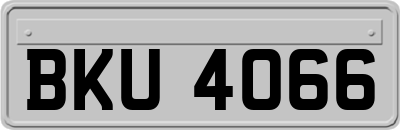 BKU4066