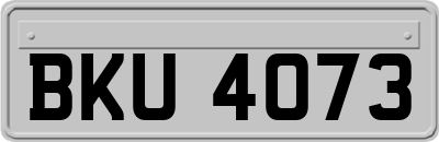BKU4073