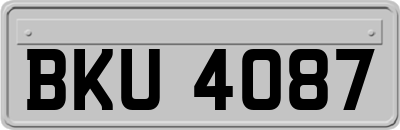 BKU4087