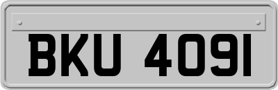 BKU4091