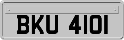 BKU4101