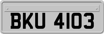 BKU4103