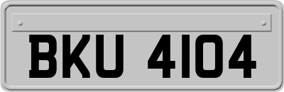 BKU4104