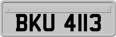 BKU4113