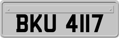 BKU4117
