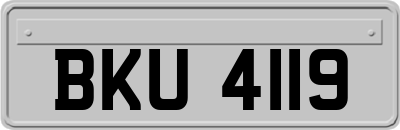 BKU4119