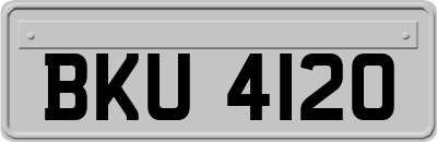 BKU4120