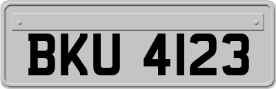 BKU4123