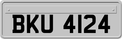 BKU4124
