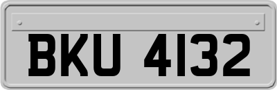 BKU4132