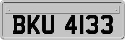 BKU4133