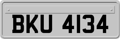 BKU4134